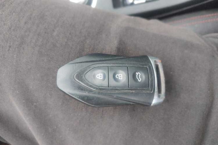 Used Leopaard CS10 2017 2.0T Automatic Urban Version