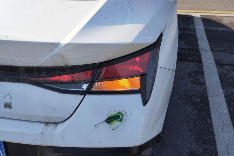 Used Hyundai Elantra 2023 1.5L CVT GLX Elite Edition
