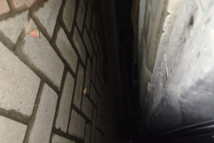 Used Nissan X-Trail 2014 2.0L CVT Comfort Edition 2WD
