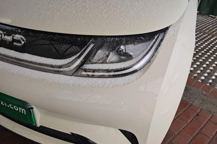 Used BYD Dolphin 2025 420km Free Edition
