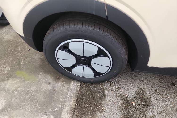 Used  Geome 2025 310km Youth Edition
