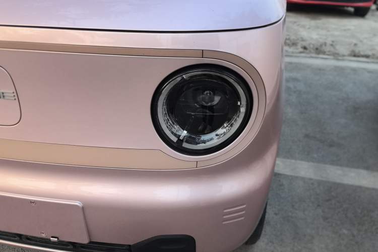 Used  Panda 2023 Panda Mini 200km Endurance Bear
