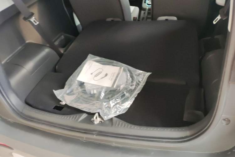 Used Chery Little Ant 2021 150 000 Yuan "Ant Fan" Edition Ant Cool Version with Ternary Lithium
