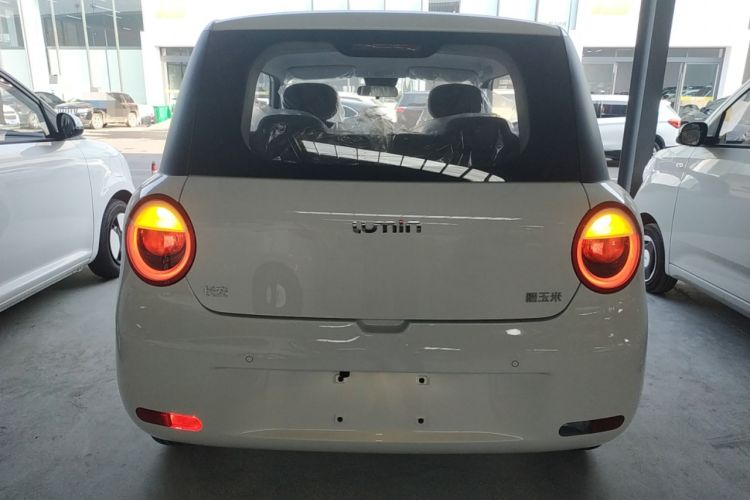 Used  Lumin 2025 205 km Xiangqin Version