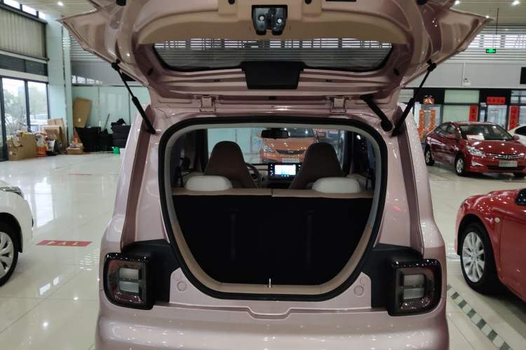 Used  Panda 2023 Panda Mini 200km Endurance Bear
