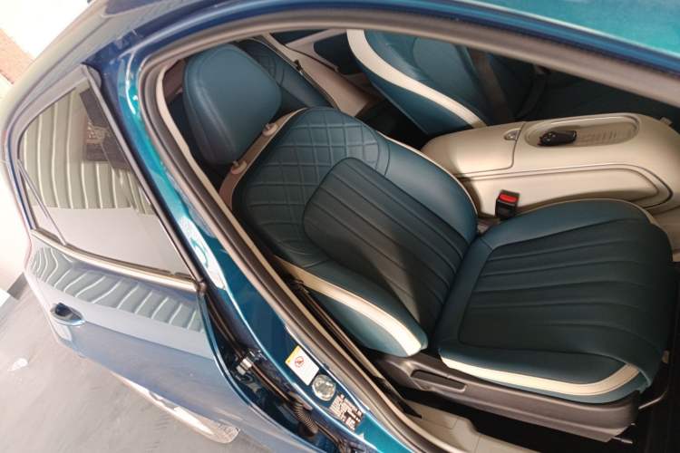 Used ORA Good Cat 2023 401 km Standard Range Luxury Version Lithium Iron Phosphate