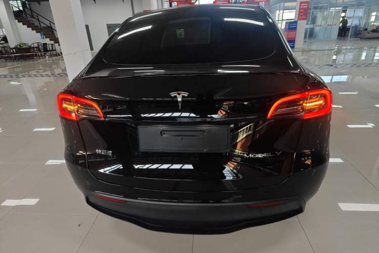 Used Tesla Model Y 2021 Standard Range Rear-Wheel Drive Version
