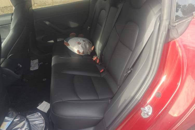 Used Tesla Model 3 2021 Standard Range Rear-Drive Upgraded Version
