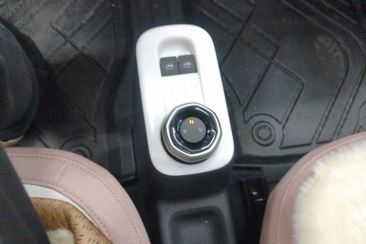 Used  Panda 2025 210 km – Yuanqi Bear
