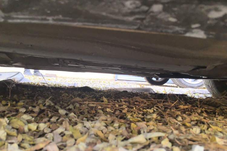 Used Ford Focus 2012 Sedan 1.6L Automatic Comfort Model
