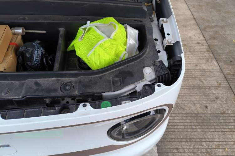 Used  Panda 2023 Panda Mini 200km Endurance Bear
