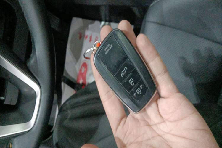 Used Toyota Wildlander 2023 Dual-Motor 2.5L E-CVT Four-Wheel Drive Prestige Edition
