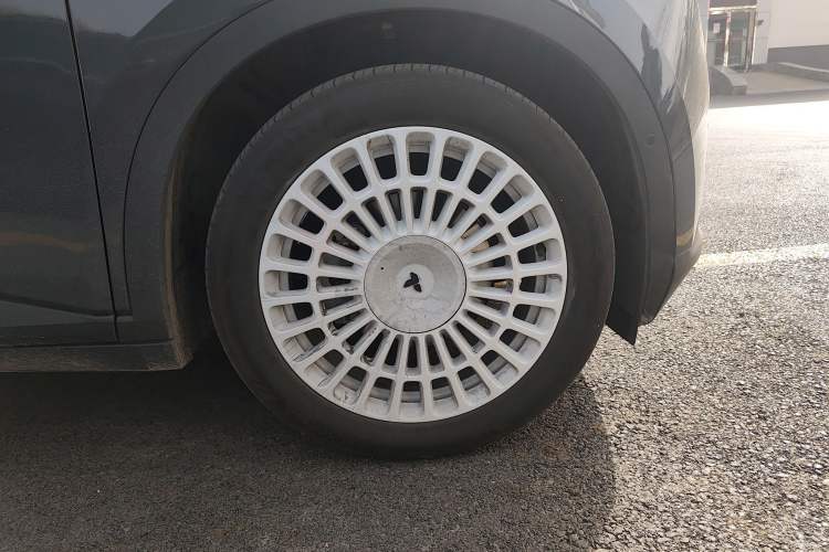 Used firefly firefly 2025 Night Creature Special Edition