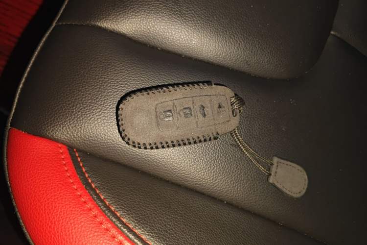 Used Venucia D60 2020 1.6L XL CVT Enjoyment Edition
