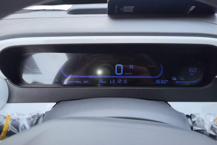 Used  Panda 2025 210 km – Yuanqi Bear