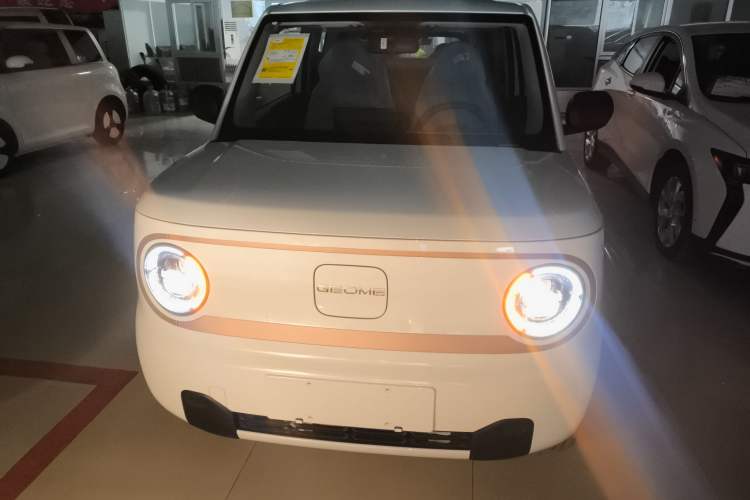 Used  Panda 2024 Panda Mini 200km Endurance Bear

