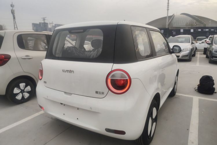 Used  Lumin 2025 205 km Xiangqin Version