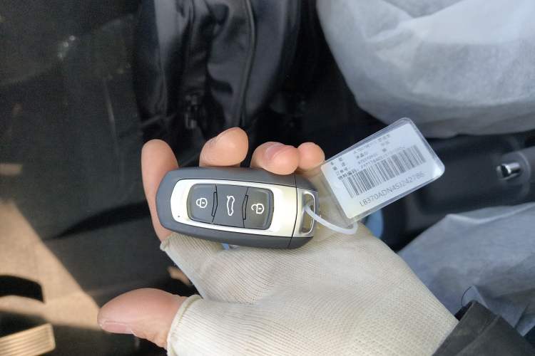 Used  Panda 2024 Panda Mini 200km Endurance Bear
