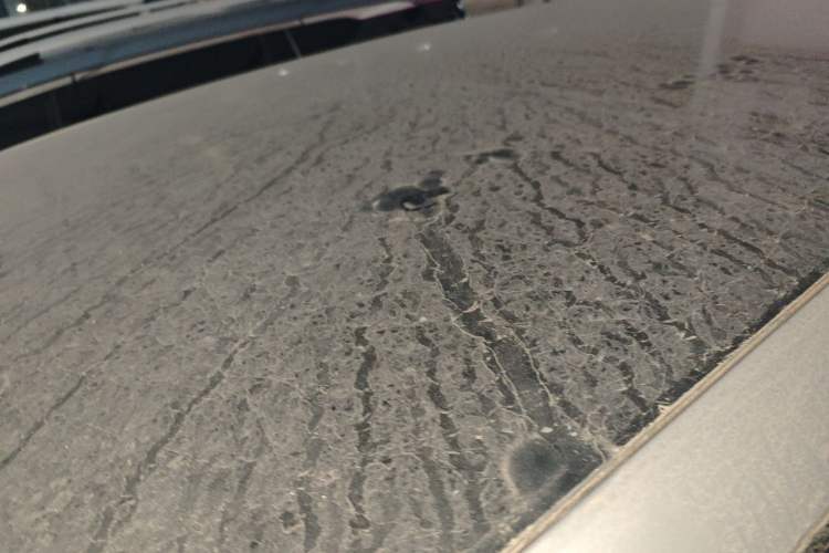 Used  Q07 2025 215 Prestige Edition