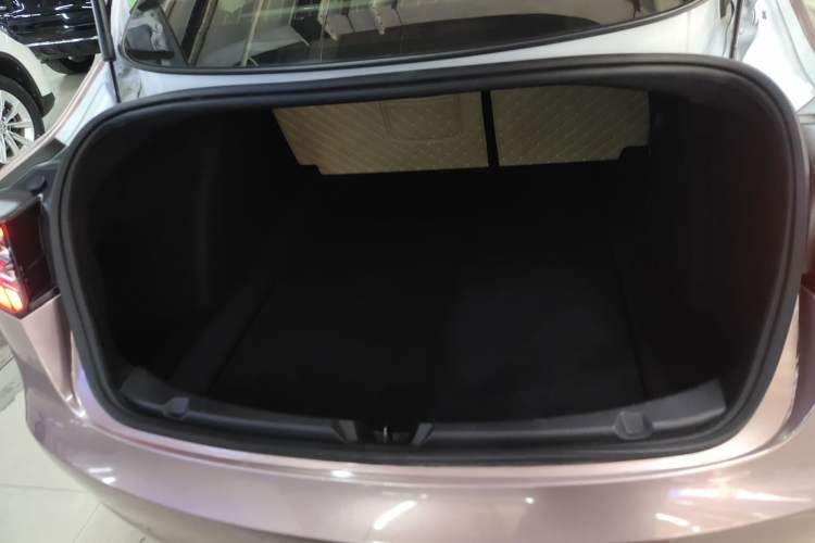 Used Tesla Model 3 2020 Standard Range Rear-Wheel Drive Upgraded Version