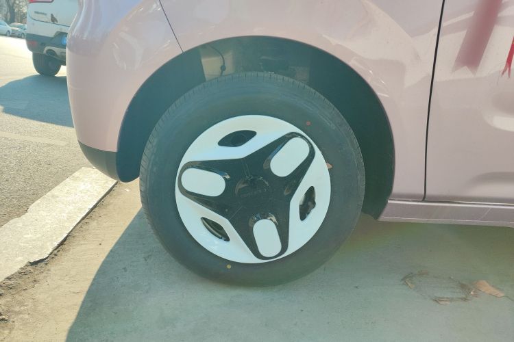 Used  Panda 2025 210 km – Yuanqi Bear
