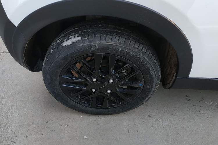 Used Chery Little Ant 2024 251km True Love Edition