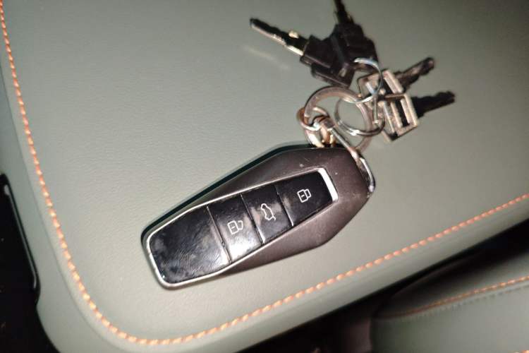 Used  03 2024 472km Four-wheel Drive Long-Range Yuechao Edition
