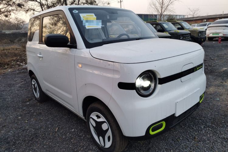 Used  Panda 2025 210 km – Yuanqi Bear
