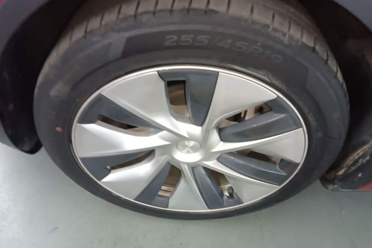 Used Tesla Model Y 2021 Standard Range Rear-Wheel Drive Version
