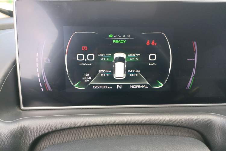 Used ORA White Cat 2020 360 km Luxury Version