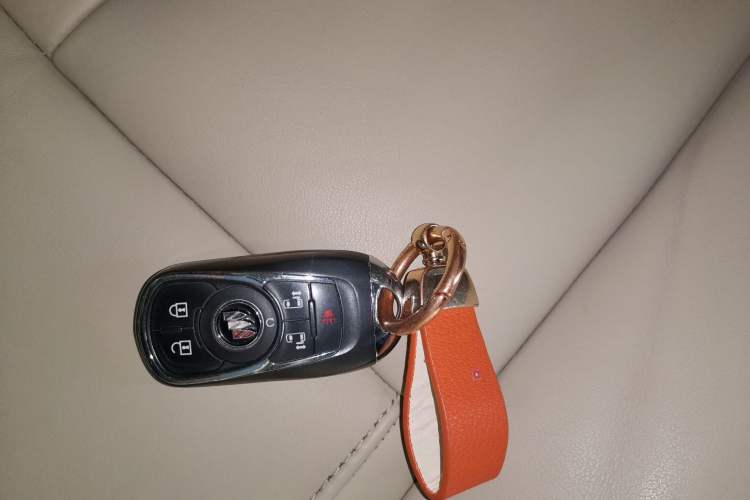 Used Buick GL8 2022 ES Landtrek 653T Luxury Edition
