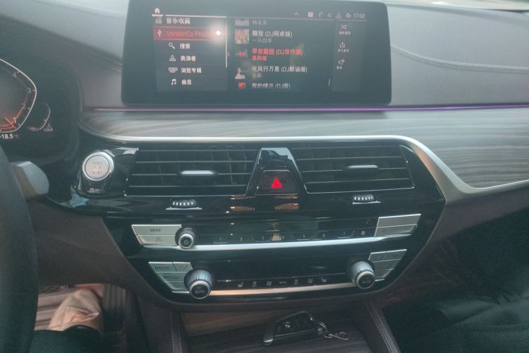 Used BMW 5 Series 2020 530Li Leading Edition Luxury Package