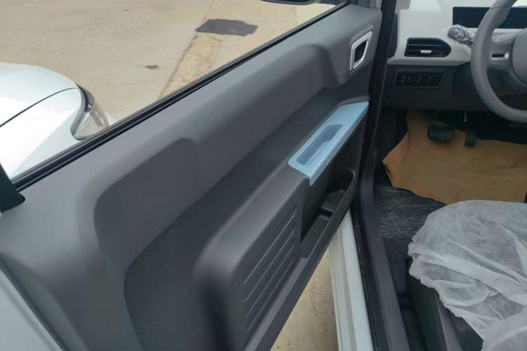 Used  Panda 2024 Panda Mini 200km Endurance Bear
