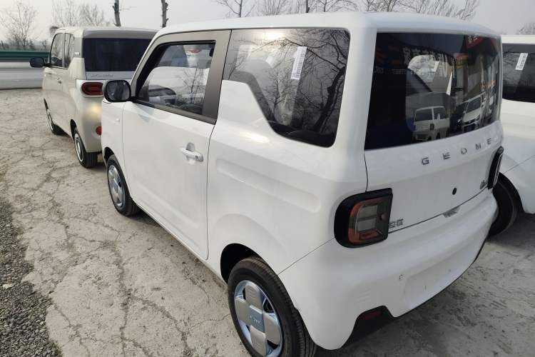 Used  Panda 2024 Panda Mini 200km Endurance Bear

