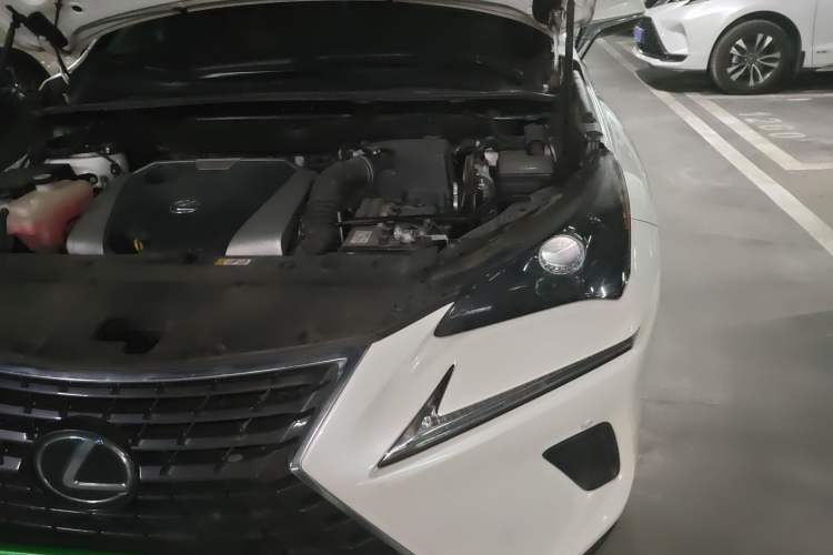 Used Lexus NX 2020 200 All-Wheel Drive Fēngshàng Version China VI Standard
