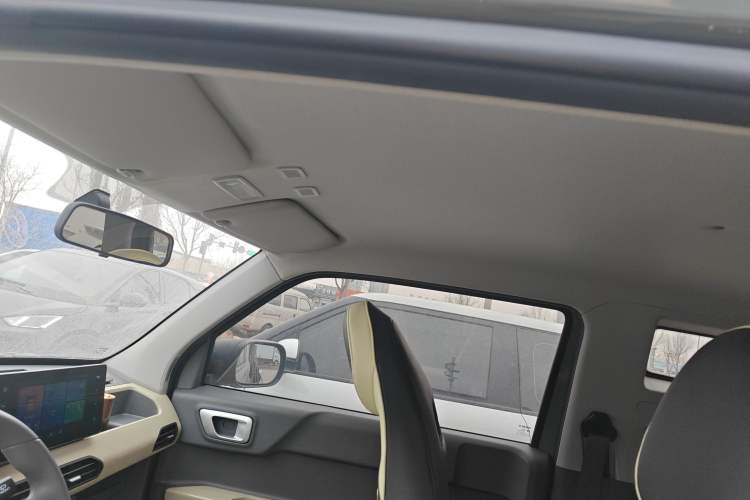 Used  Panda 2024 200km Panda Rider