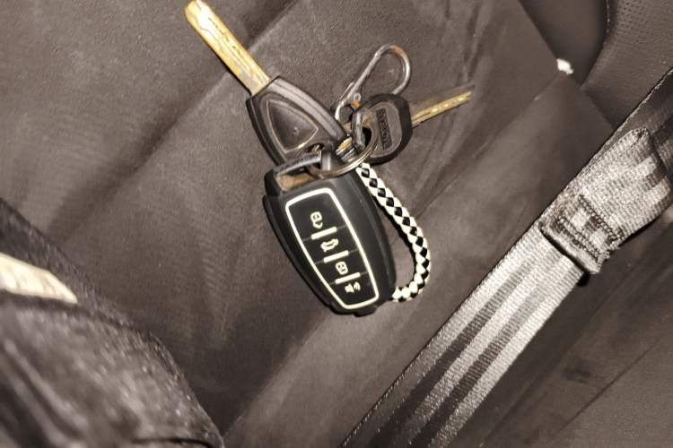 Used Haval H6 2021 National Trend Edition 1.5T Automatic Champion Version