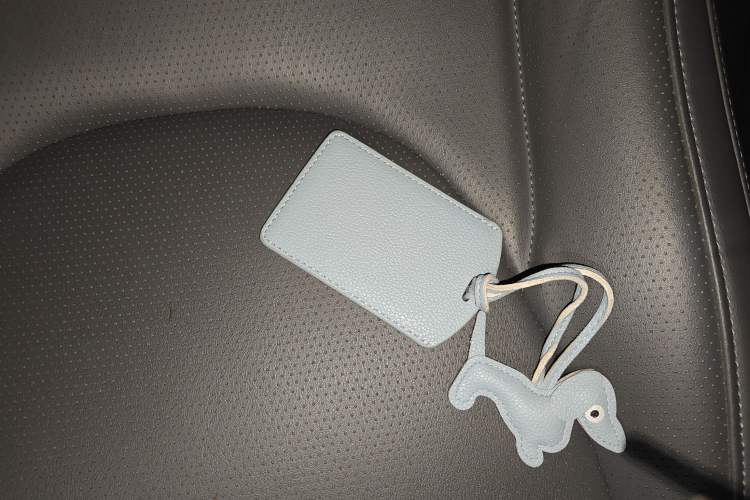 Used  L6 2024 Max Long-Range Version