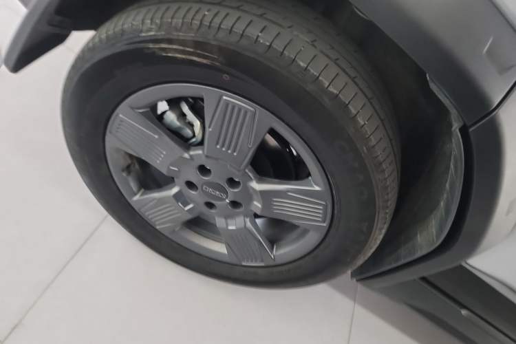 Used  03 2024 501km Two-Wheel Drive Long-Range Version
