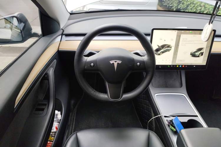 Used Tesla Model Y 2021 Standard Range Rear-Wheel Drive Version
