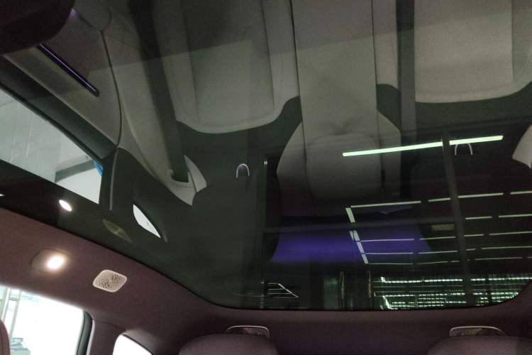 Used  06 2025 Max All-Electric Version
