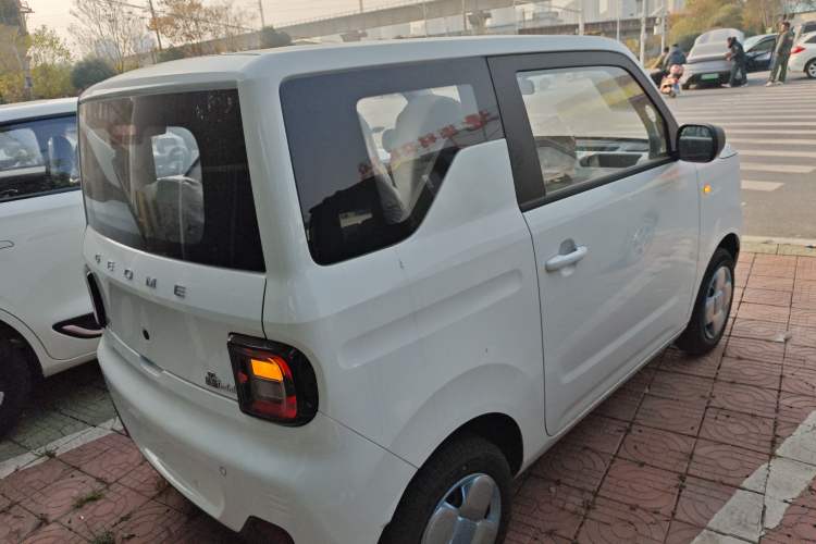 Used  Panda 2024 Panda Mini 200km Endurance Bear
