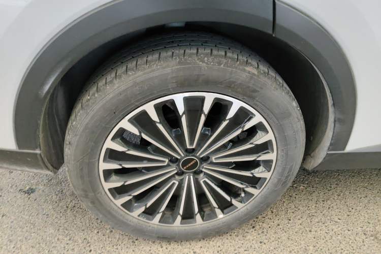 Used  Stellar 2023 400T Two-Wheel Drive Comfort Flyfish Edition