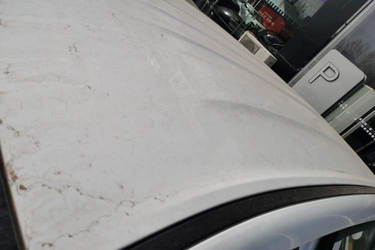 Used  E5 2026 Model 530km Launch Edition
