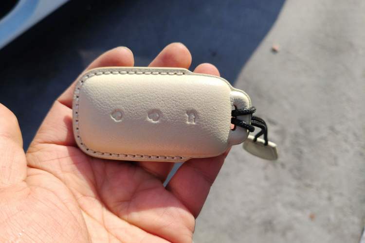 Used  L6 2024 125km Creative Edition