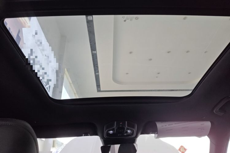 Used Geely Auto Monjaro L 2024 2.0TD High-Power Automatic Two-Wheel Drive Skyline Edition
