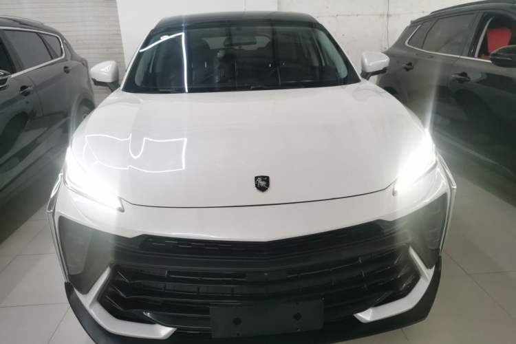 Used FORTHING T5 EVO 2024 Kungbiao Edition 1.5TD DCT Platinum Model