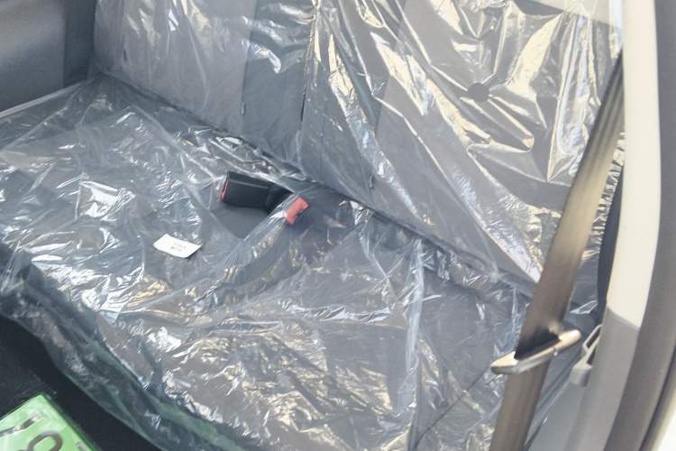 Used  Lumin 2025 205 km Xiangqin Version