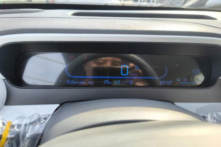 Used  Panda 2025 210 km – Yuanqi Bear
