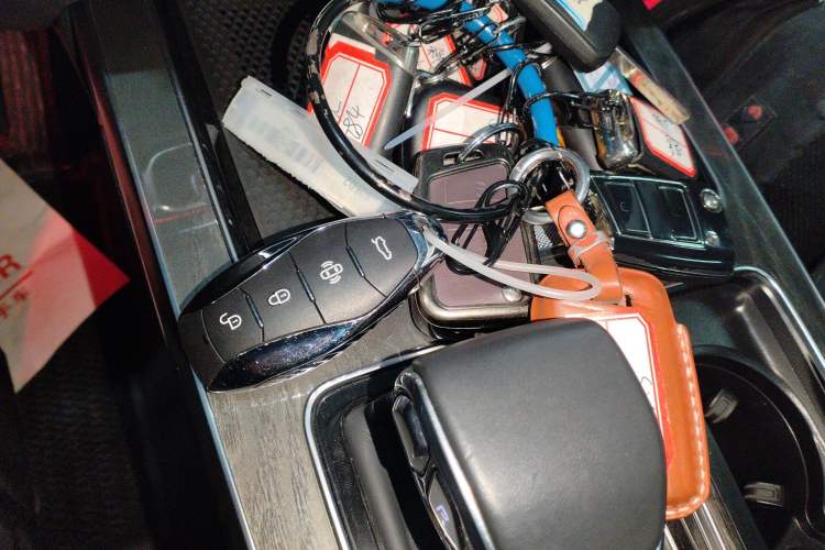 Used Hongqi HS5 2023 2.0T Four-Wheel Drive Flagship Pro Edition
